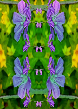 Flowers Love With Summer