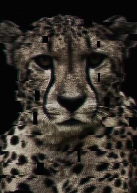 Glitched Cheetah