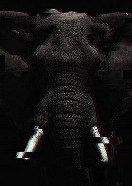 Glitched Elephant