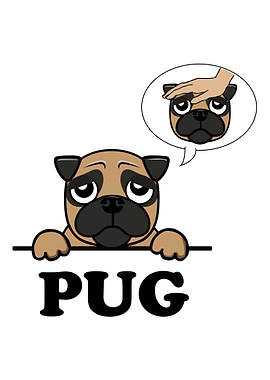 Pug Cute Puppy Pug Breed