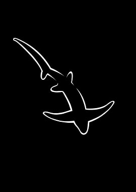 Thresher Shark Diving Ocea