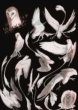 Owl Squad