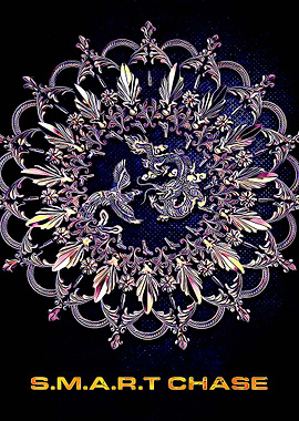 Smart Chase 3