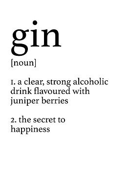 Gin definition