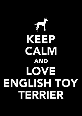 English Toy Terrier