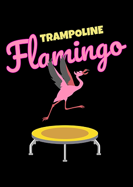 Trampoline jumps on Flamin
