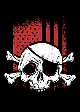 Pirate Skull USA flag