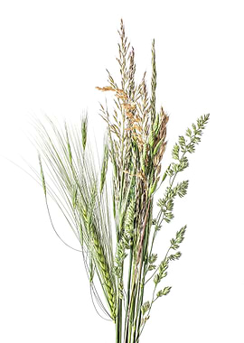 Mixed Grasses 3