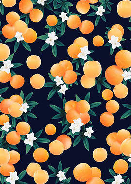 Orange Twist Night 3