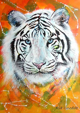 White Tiger