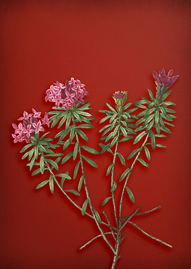 Blooming Garland Flowers