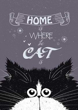 Cat Home