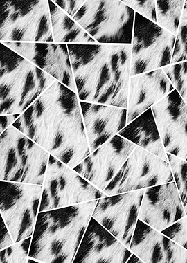 Animal Fur Black White 1