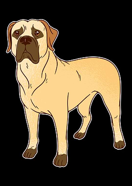 Boerboel