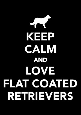 Flat Coated Retriever