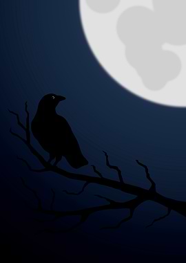 Crow by Moonlight