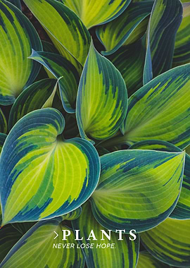 Plants Never Loose Quote