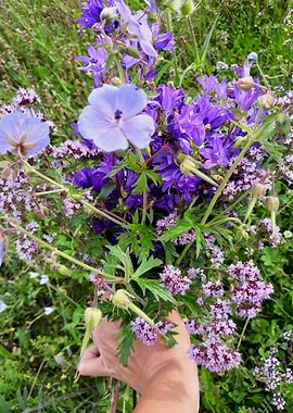 Purple wildflower bouquet