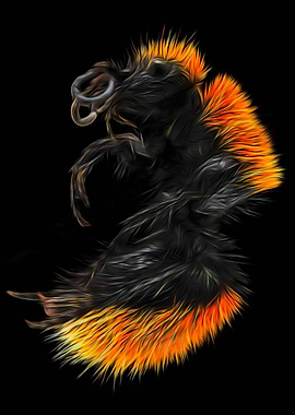 Velvet Ant