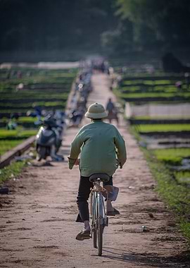 old man riding bicycle