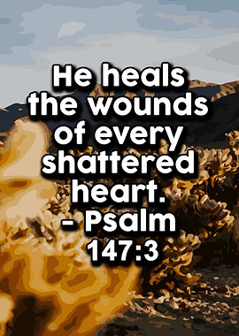 Motivational Quotes 360