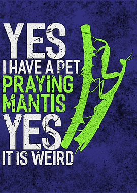 Praying Mantis Biology