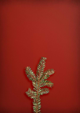 English Yew Branch on Red