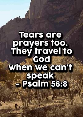 Motivational Quotes 361