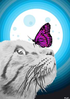 Cat meets Butterfly