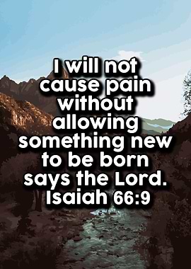 Motivational Quotes 371