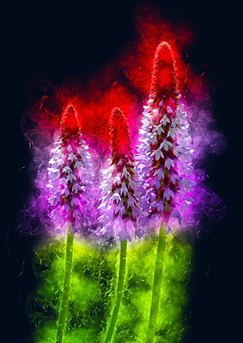 red purple wild flowers