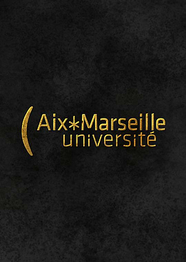 Aix Marseille University