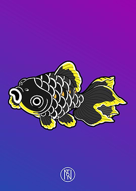 Kuroi Kingyo - Goldfish