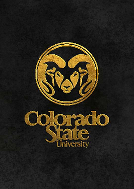 Colorado State University