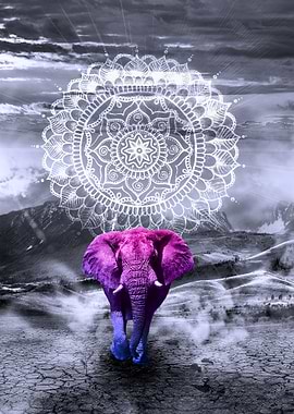 ABUNDANCE Monochrome