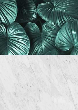 Minimalist botanical IV