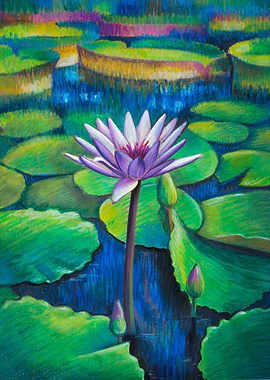 Purple lotus