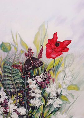 Flowers and butterflyes