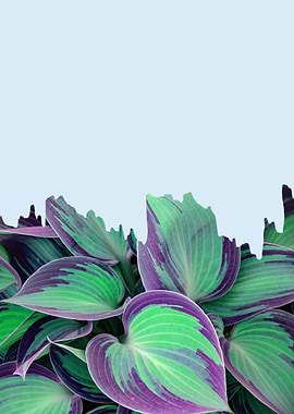 Minimalist botanical IX