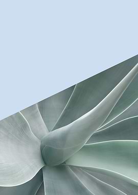 Minimalist botanical VII