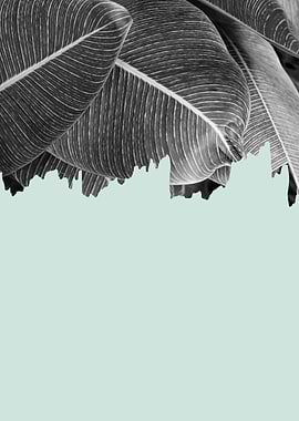 Minimalist botanical I