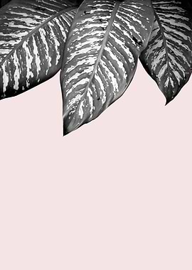 Minimalist botanical III