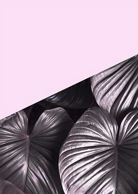 Minimalist botanical V