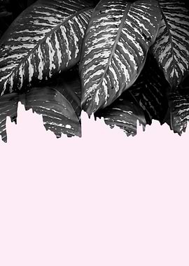 Minimalist botanical XII