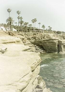 Vintage Sunset Cliffs