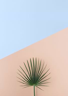 Minimalist botanical XVII