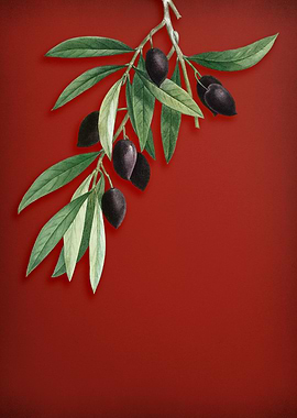 Olive Tree Branch on Red