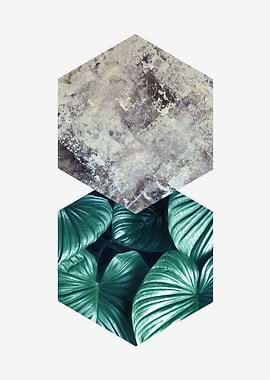 botanical polygon VI