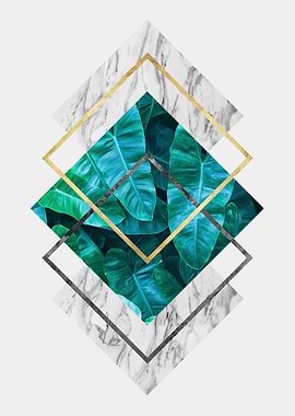 botanical polygon IV