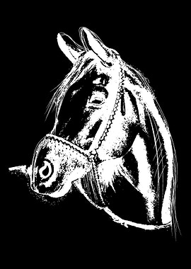 Horse Riding Nature Equest